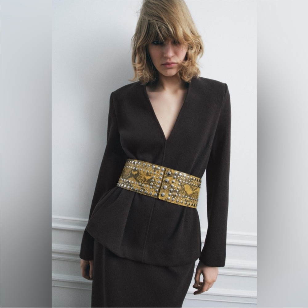 NWT Zara Animal Print Studded Leather Sash Belt
